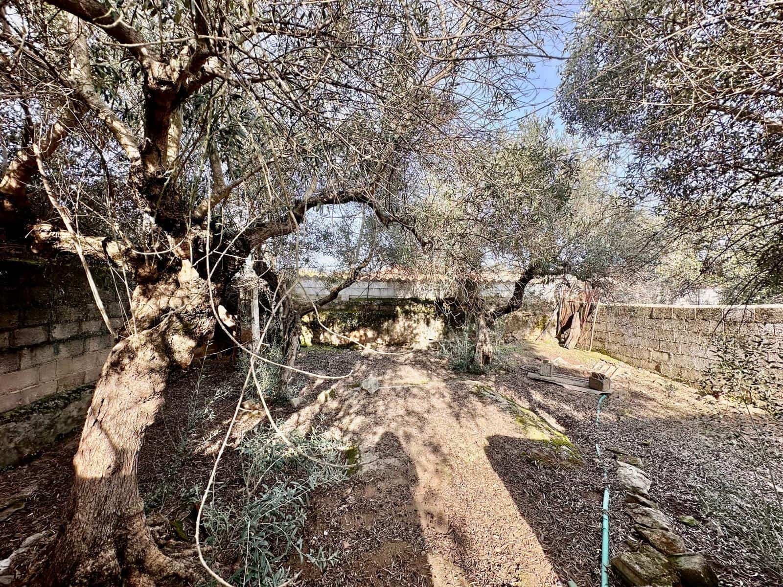 Casa de 5 habitaciones en Fuente Obejuna en venta - 27.000 € (Ref: 9677563)