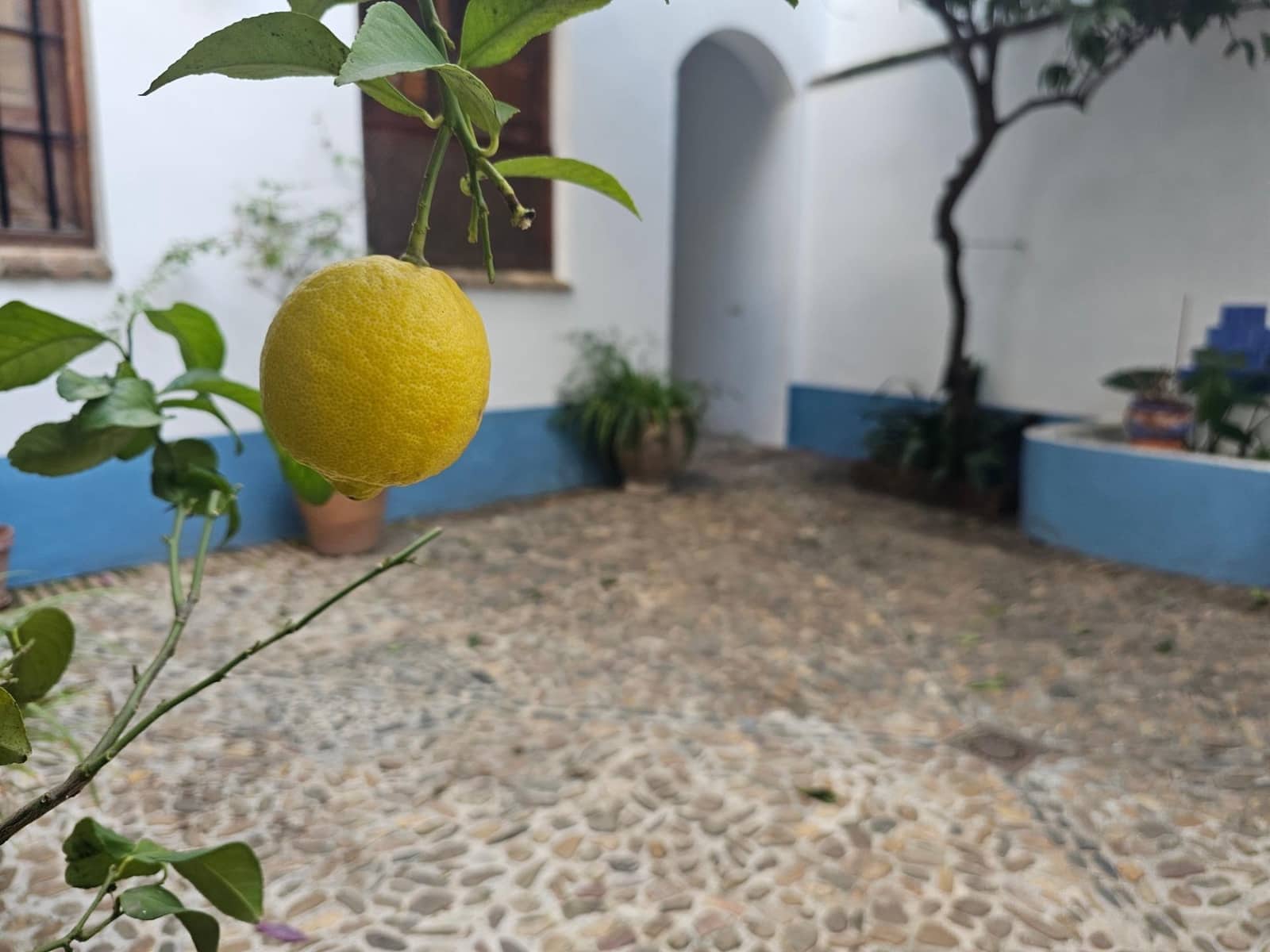 3 bedroom Apartment for sale in Cordoba city - € 219,000 (Ref: 9701711)