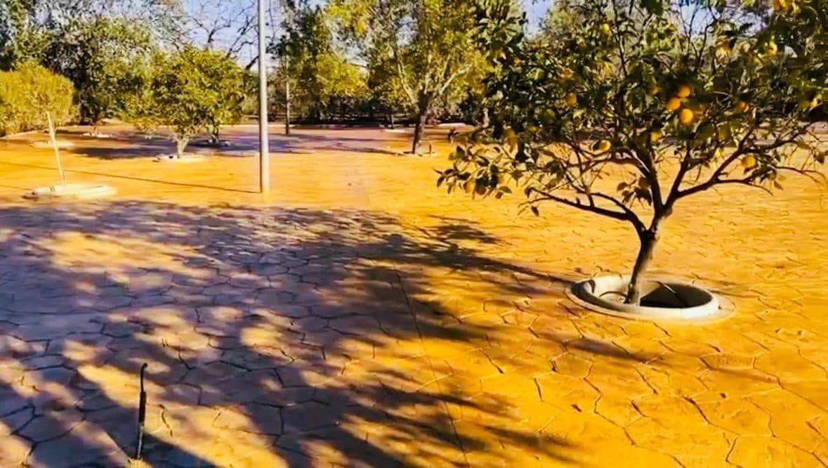 4 bedroom Villa for sale in La Carlota with pool - € 308,000 (Ref: 9721772)