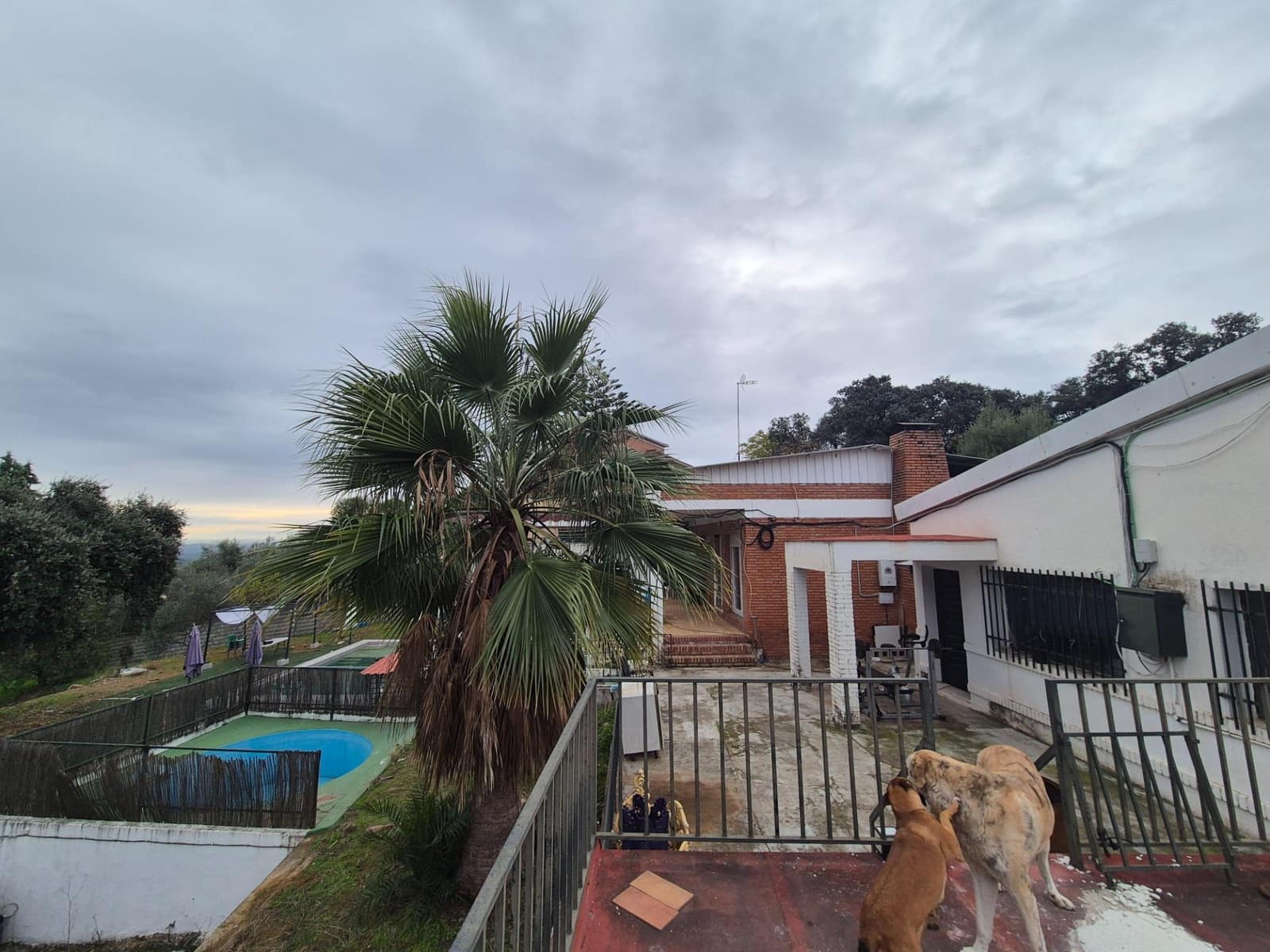 3 bedroom Villa for sale in Cordoba city with pool garage - € 230,000 (Ref: 9721781)