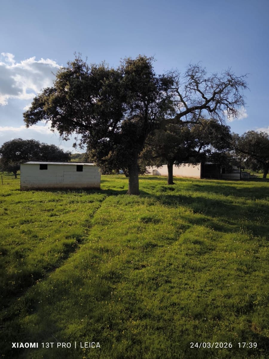 Building Plot for sale in Fuente Obejuna - € 120,000 (Ref: 9732221)