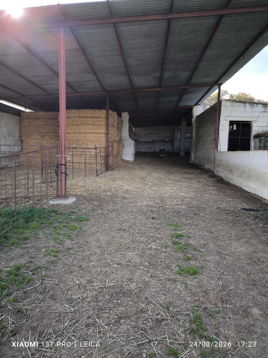 Building Plot for sale in Fuente Obejuna - € 120,000 (Ref: 9732221)