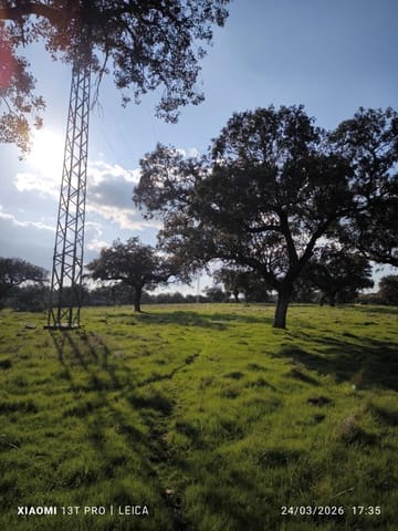 Building Plot for sale in Fuente Obejuna - € 120,000 (Ref: 9732221)