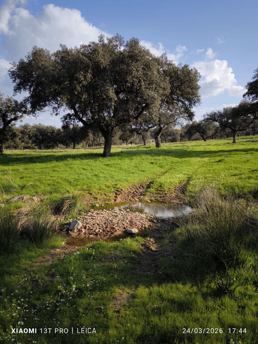 Building Plot for sale in Fuente Obejuna - € 120,000 (Ref: 9732221)