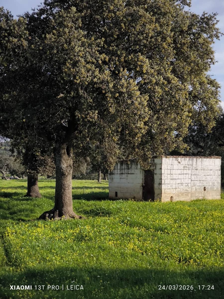 Building Plot for sale in Fuente Obejuna - € 120,000 (Ref: 9732221)