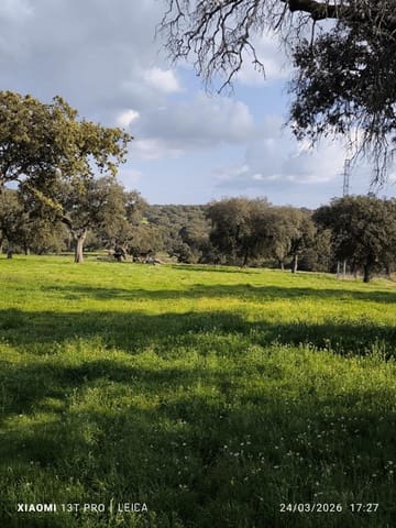 Building Plot for sale in Fuente Obejuna - € 120,000 (Ref: 9732221)