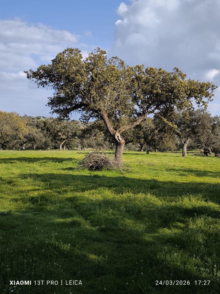 Building Plot for sale in Fuente Obejuna - € 120,000 (Ref: 9732221)