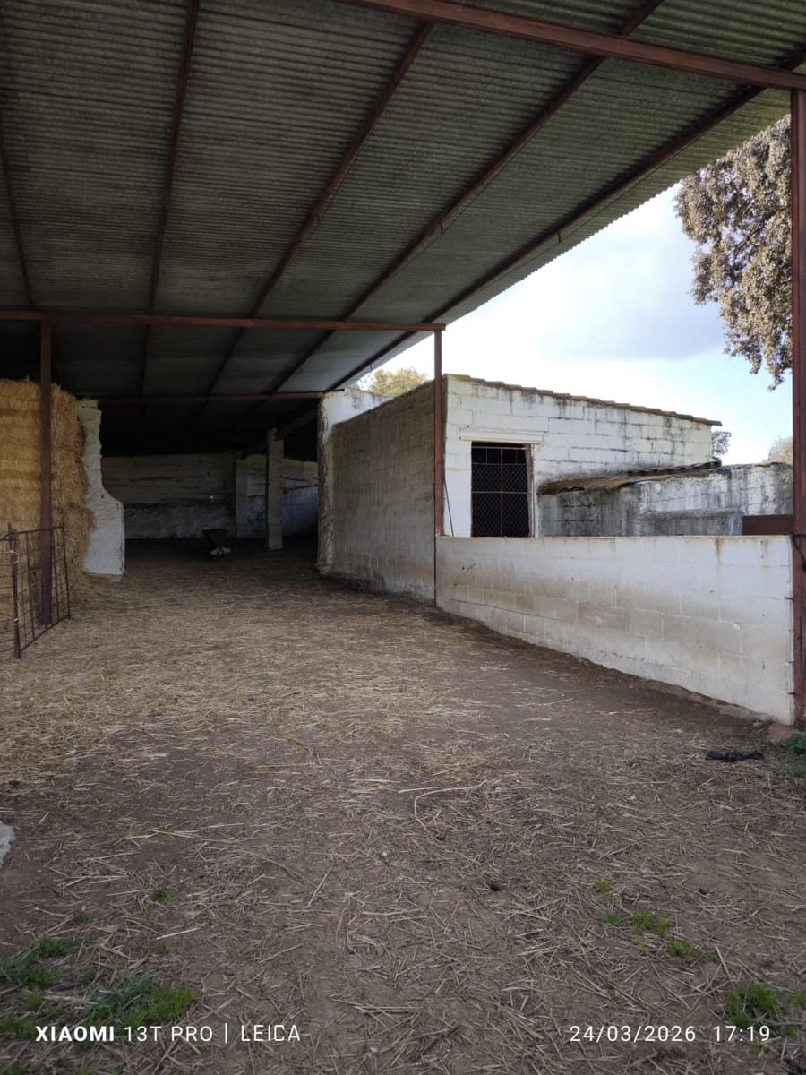 Building Plot for sale in Fuente Obejuna - € 120,000 (Ref: 9732221)