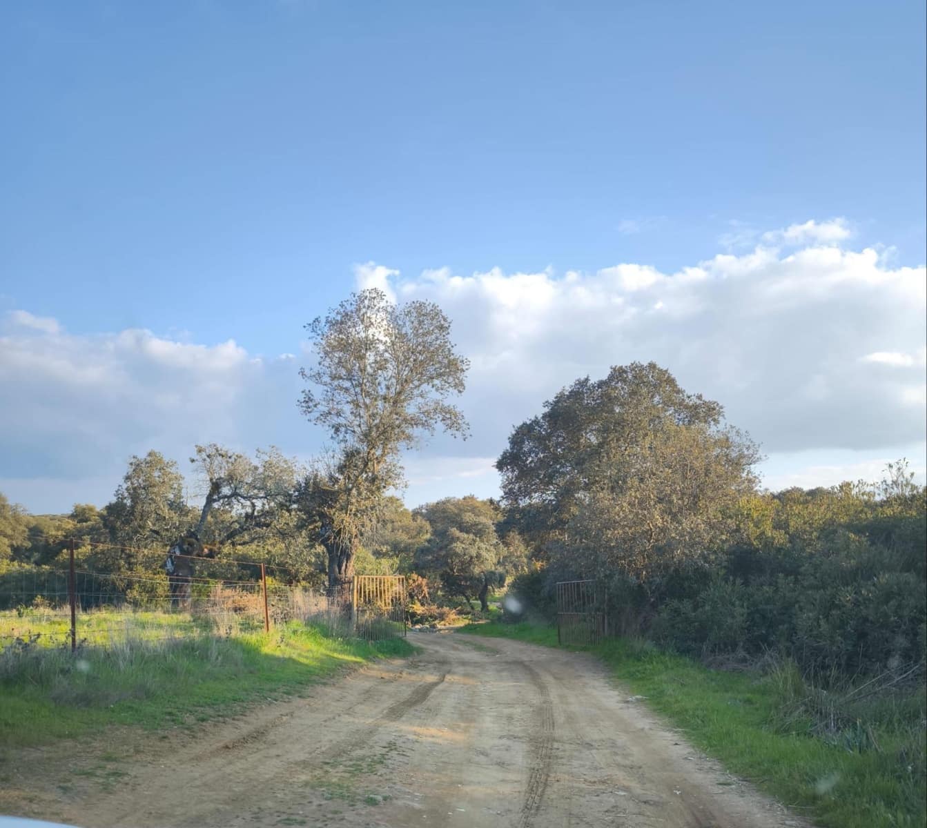 Building Plot for sale in Fuente Obejuna - € 120,000 (Ref: 9732221)