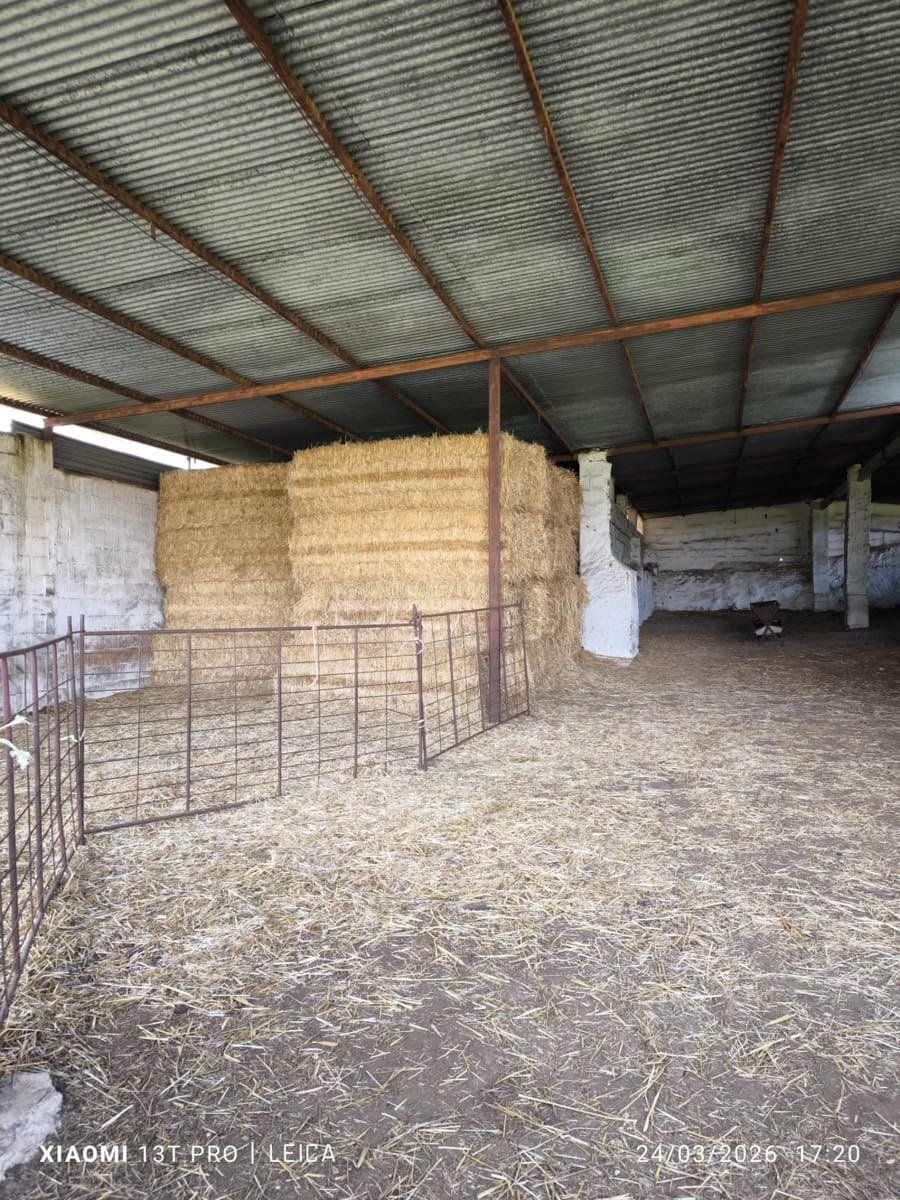 Building Plot for sale in Fuente Obejuna - € 120,000 (Ref: 9732221)