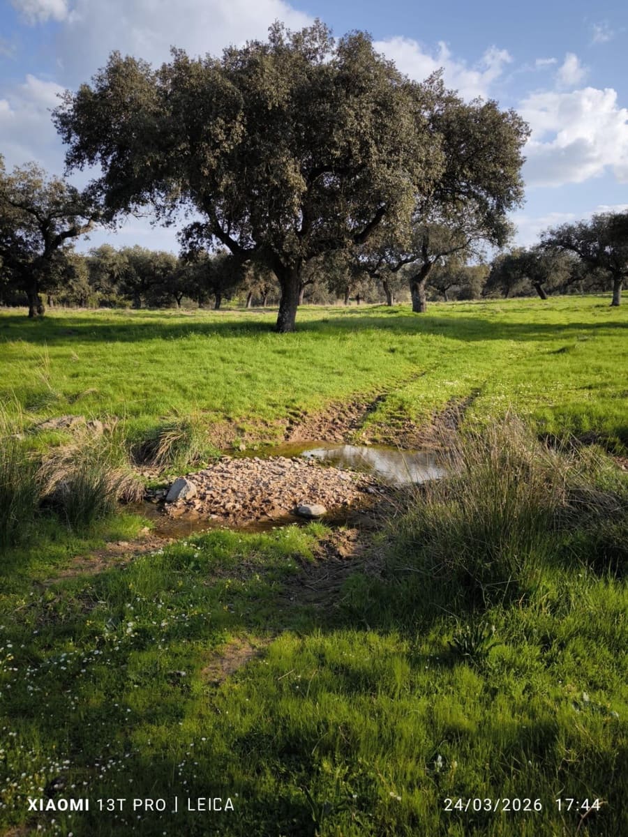 Building Plot for sale in Fuente Obejuna - € 120,000 (Ref: 9732221)