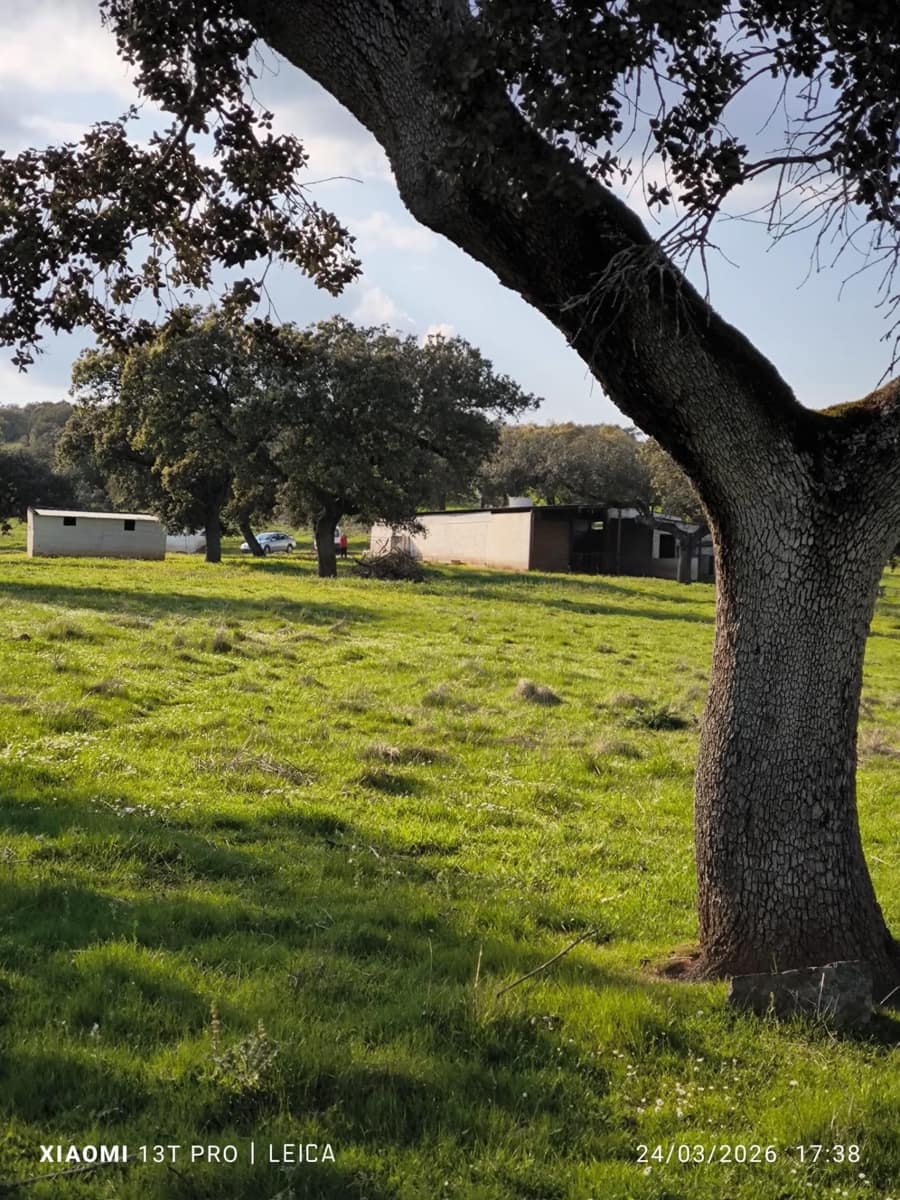 Building Plot for sale in Fuente Obejuna - € 120,000 (Ref: 9732221)