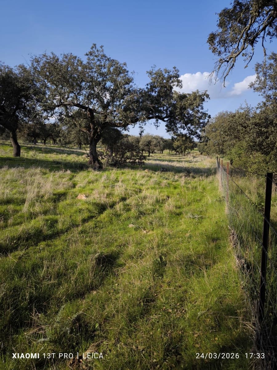 Building Plot for sale in Fuente Obejuna - € 120,000 (Ref: 9732221)