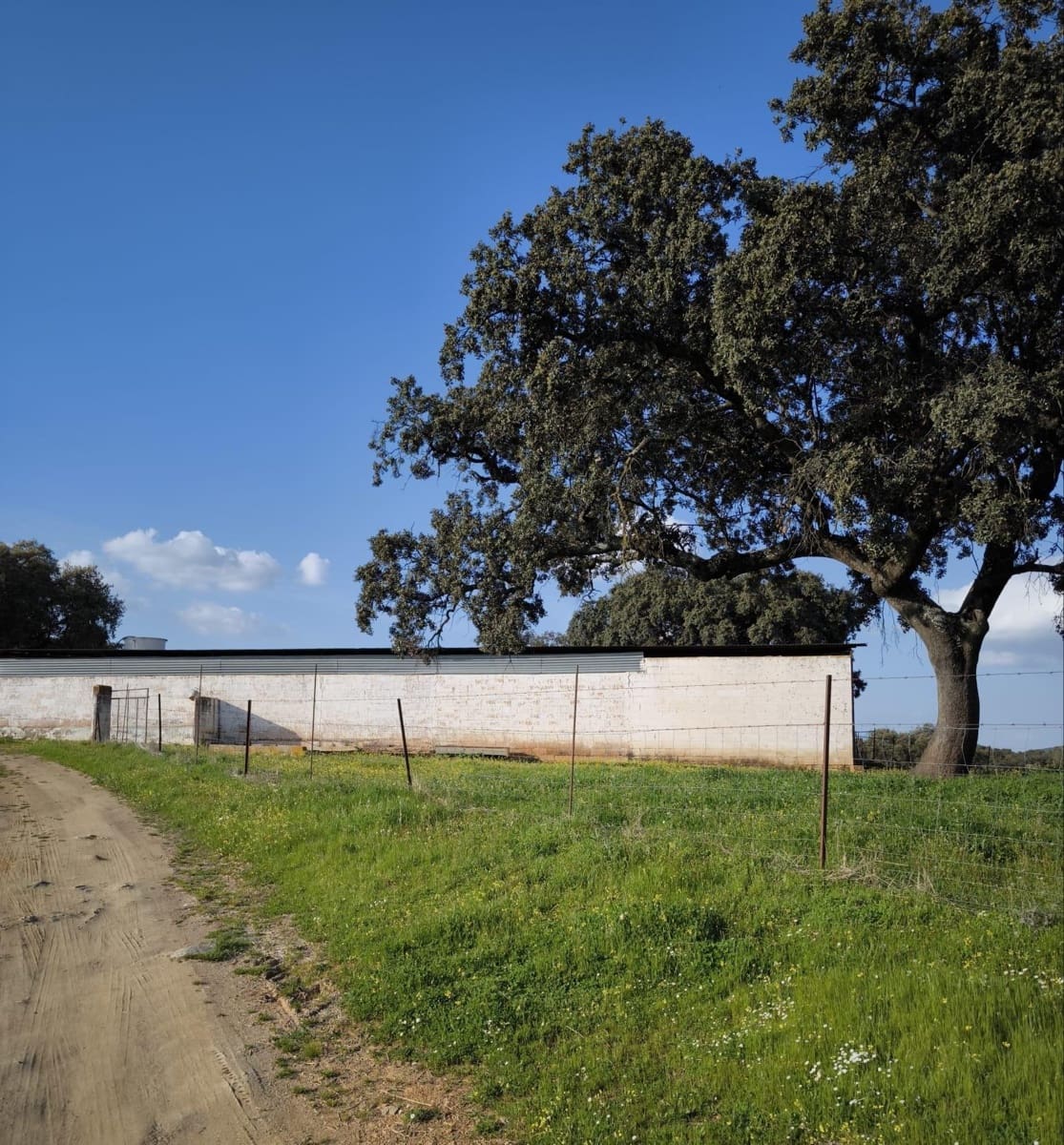 Building Plot for sale in Fuente Obejuna - € 120,000 (Ref: 9732221)