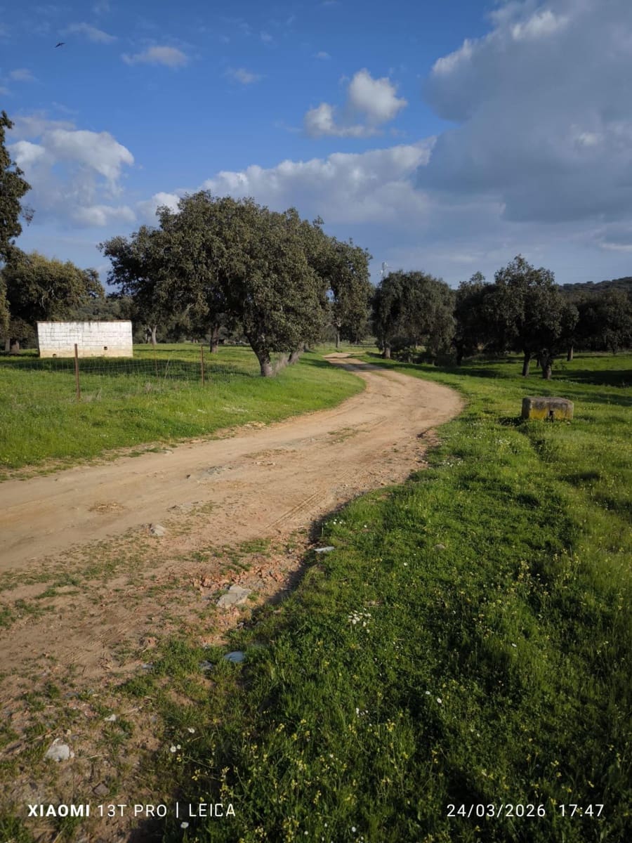 Building Plot for sale in Fuente Obejuna - € 120,000 (Ref: 9732221)