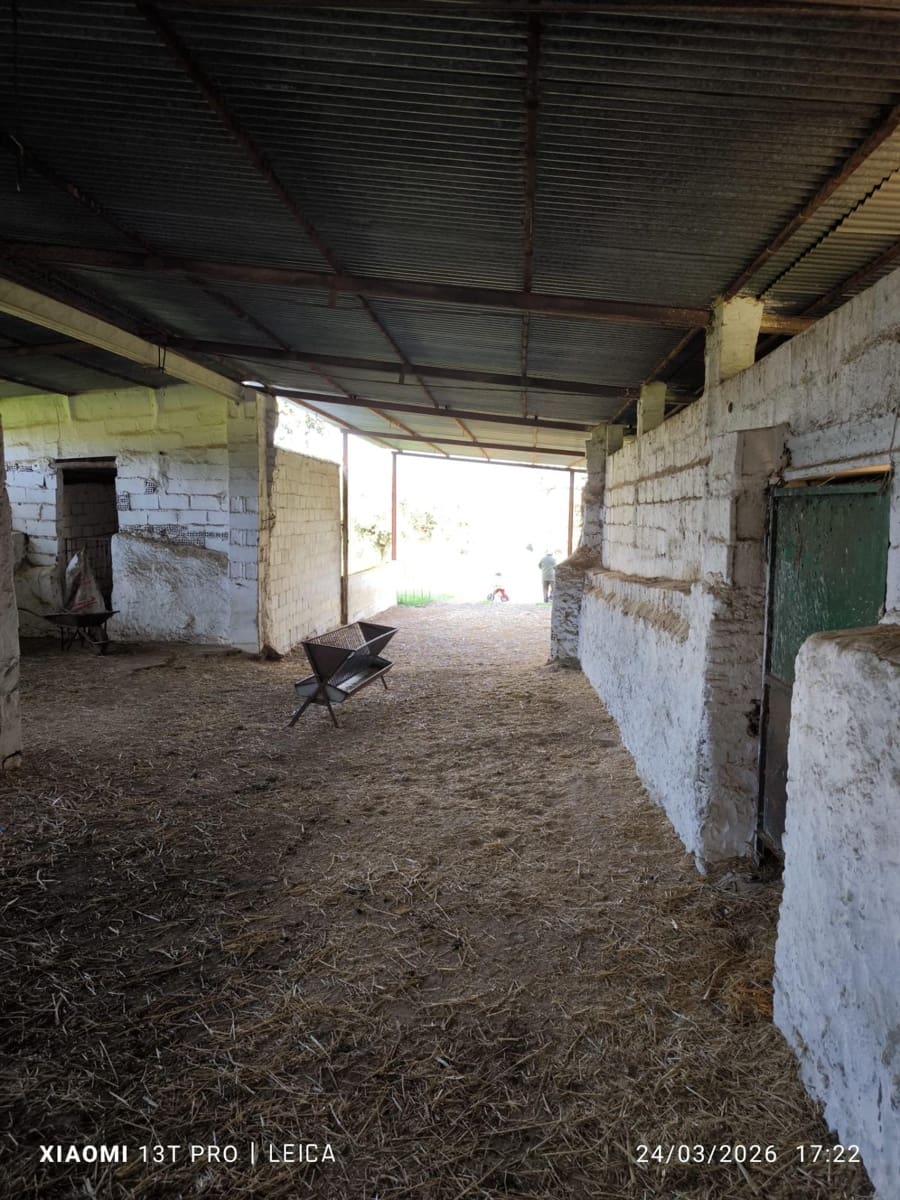 Building Plot for sale in Fuente Obejuna - € 120,000 (Ref: 9732221)