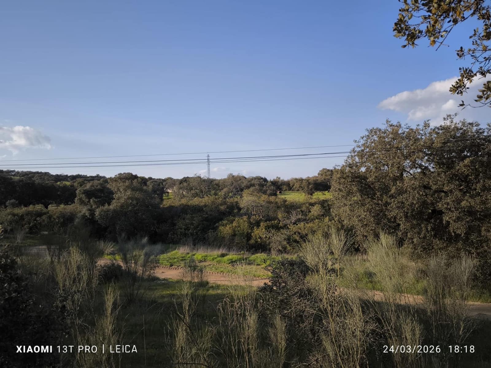 Building Plot for sale in Fuente Obejuna - € 120,000 (Ref: 9732221)