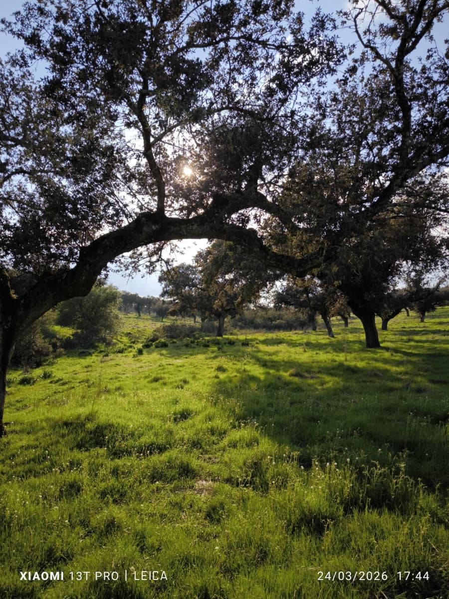 Building Plot for sale in Fuente Obejuna - € 120,000 (Ref: 9732221)