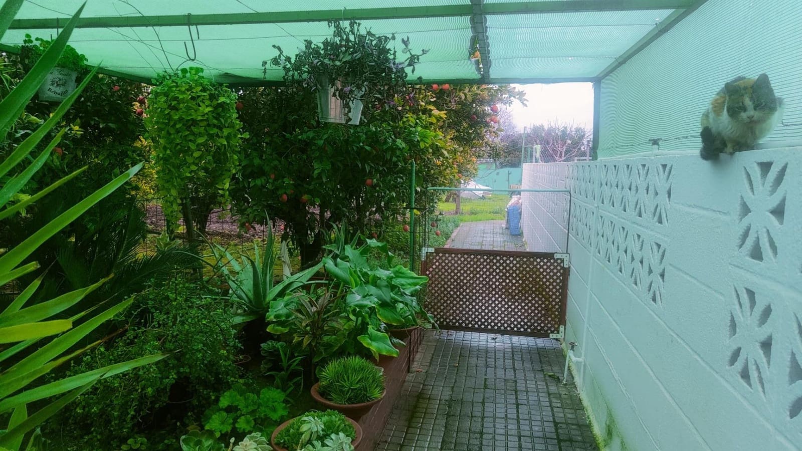 3 bedroom Villa for sale in Cordoba city with pool - € 255,000 (Ref: 9732223)