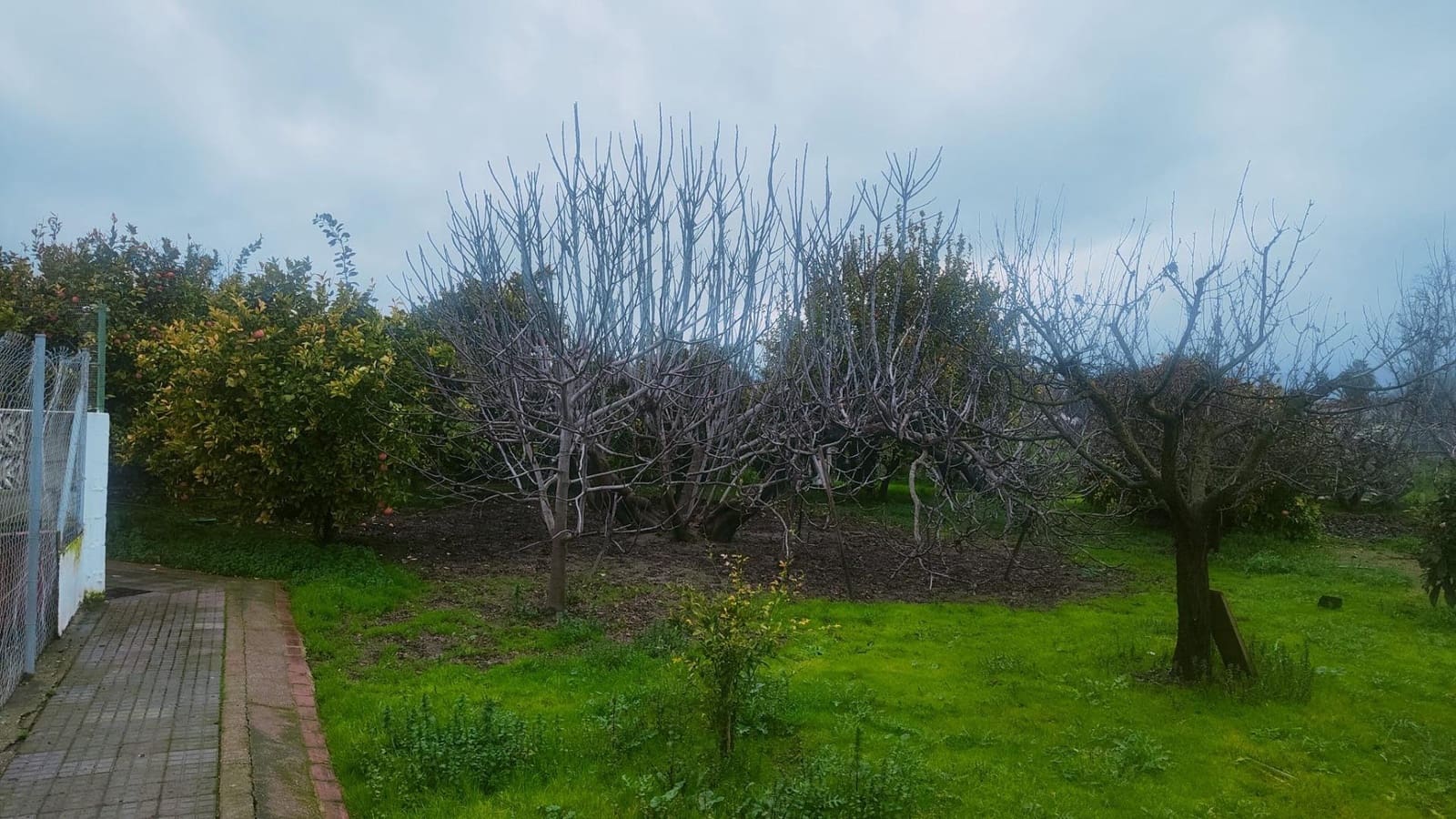 3 bedroom Villa for sale in Cordoba city with pool - € 255,000 (Ref: 9732223)