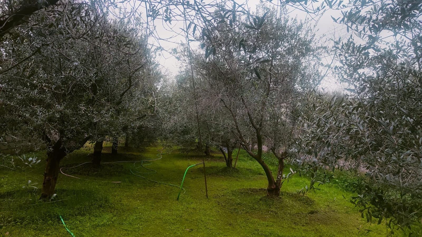 3 bedroom Villa for sale in Cordoba city with pool - € 255,000 (Ref: 9732223)