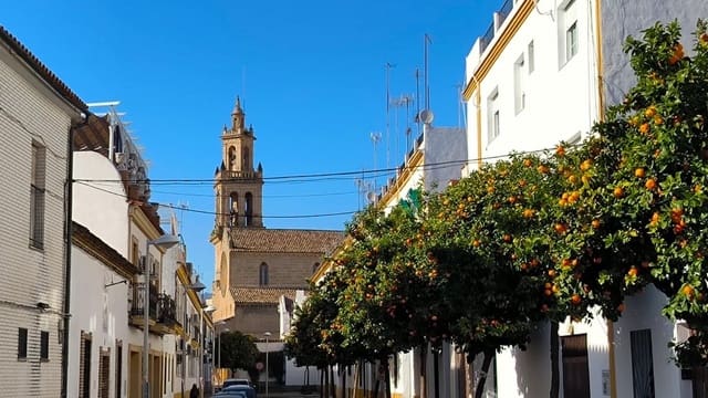 3 slaapkamer Flat te koop in San Lorenzo, Córdoba stad - € 159.900 (Ref: 9755800)