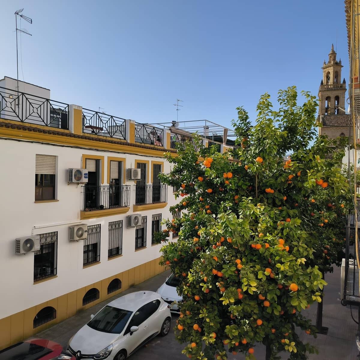 3 slaapkamer Flat te koop in Cordoba stad - € 159.900 (Ref: 9755800)
