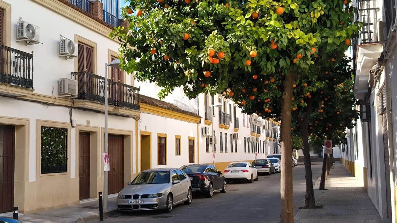 3 slaapkamer Flat te koop in Cordoba stad - € 159.900 (Ref: 9755800)