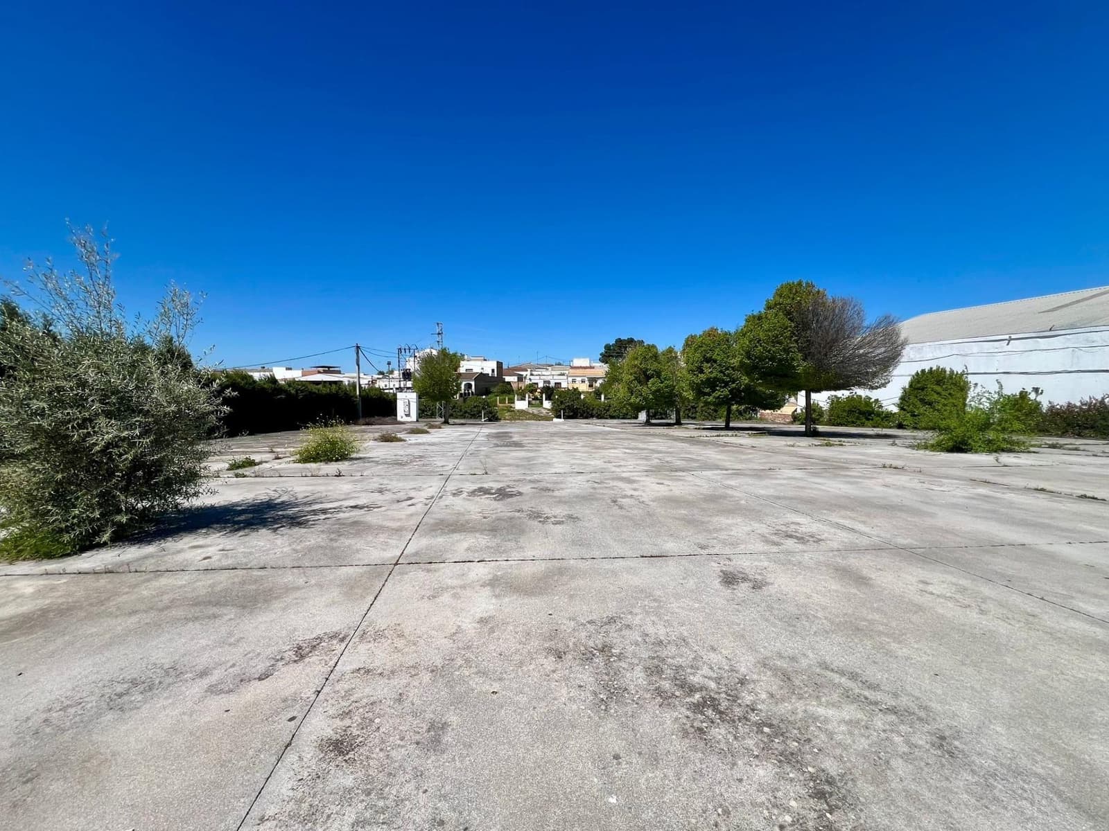 Virksomhed til salg i Aguilar de la Frontera - € 500.000 (Ref: 9759058)