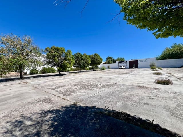 Virksomhed til salg i Aguilar de la Frontera - € 500.000 (Ref: 9759058)