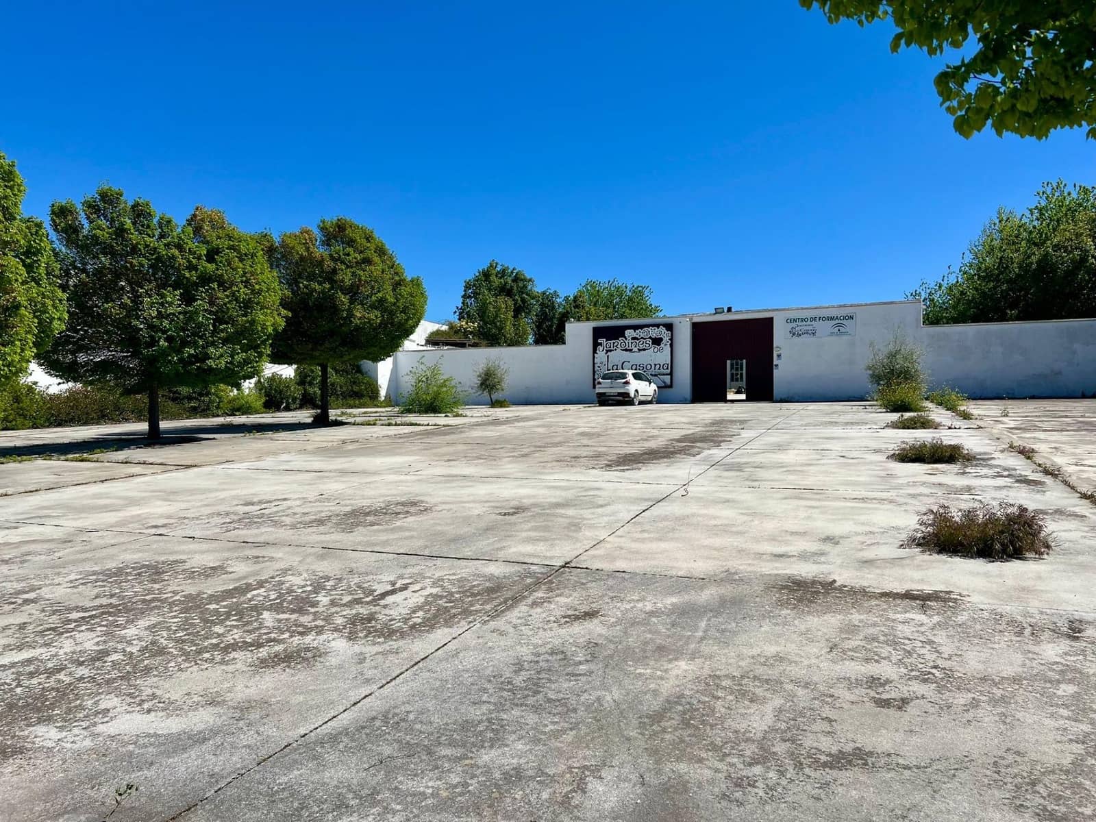 Virksomhed til salg i Aguilar de la Frontera - € 500.000 (Ref: 9759058)