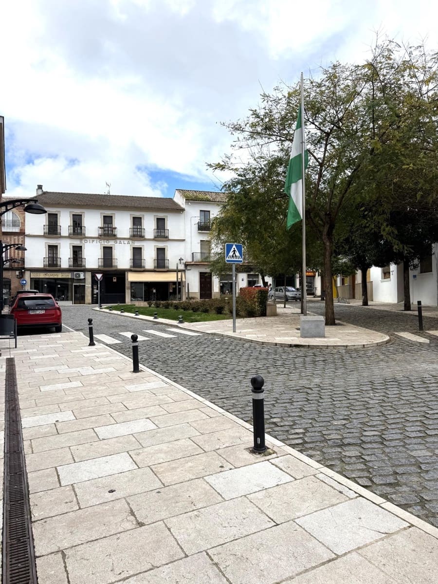 6 soverom Hus til salgs i Bujalance med garasje - € 225 000 (Ref: 9770721)