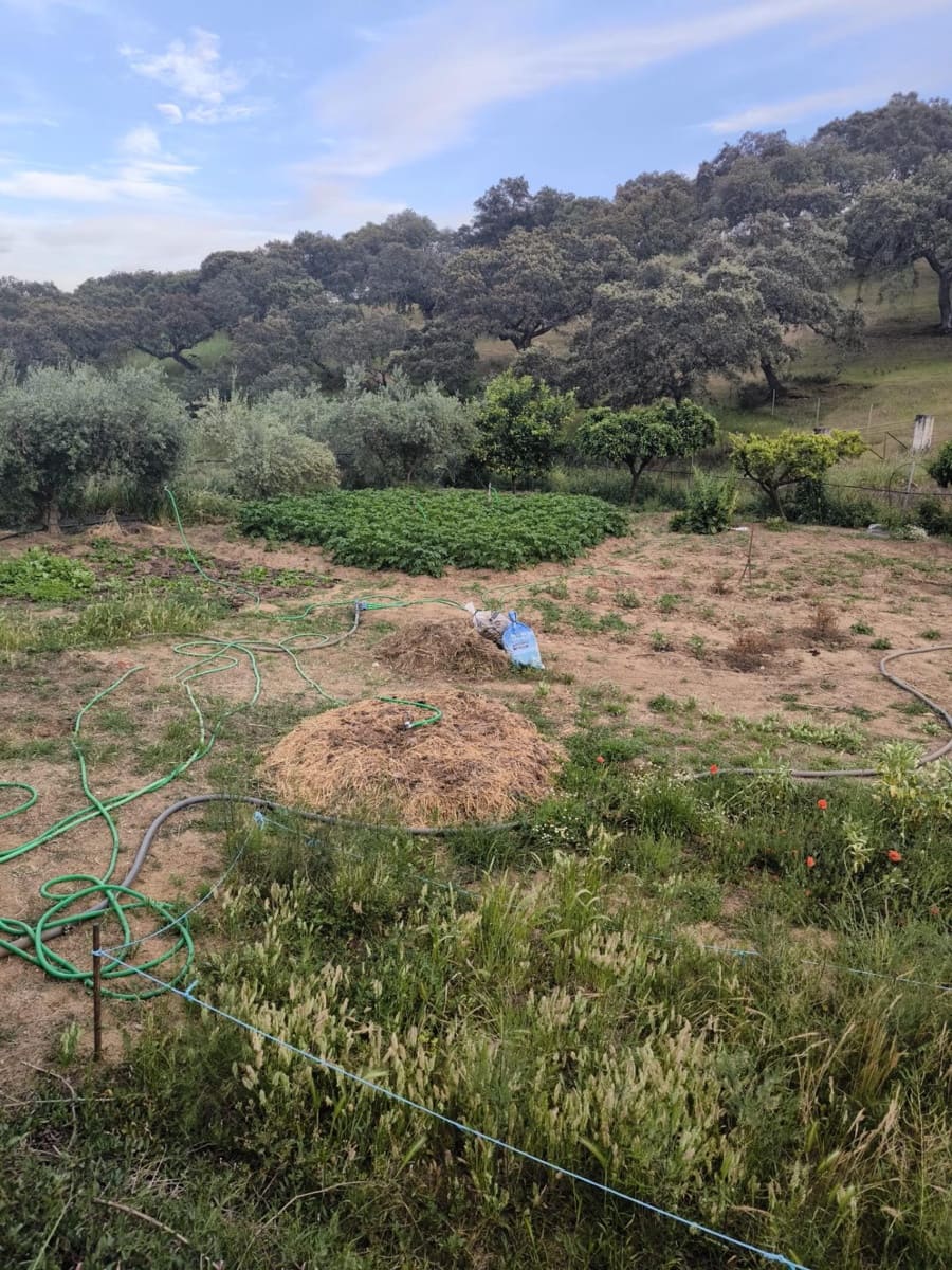 Finca/Landehus til salg i Fuente Obejuna med swimmingpool garage - € 76.000 (Ref: 9818312)