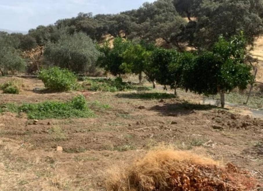 Finca/Landehus til salg i Fuente Obejuna med swimmingpool garage - € 76.000 (Ref: 9818312)
