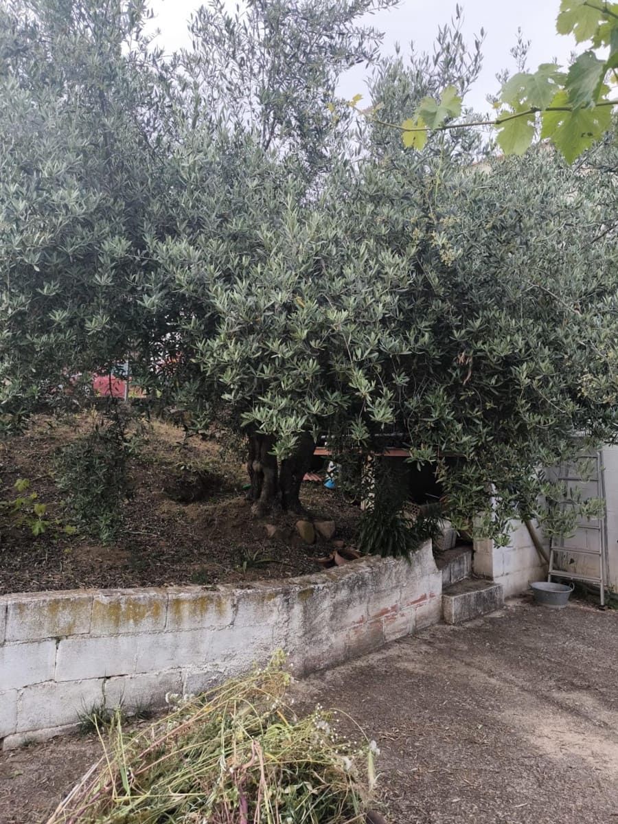 Finca/Landehus til salg i Fuente Obejuna med swimmingpool garage - € 76.000 (Ref: 9818312)