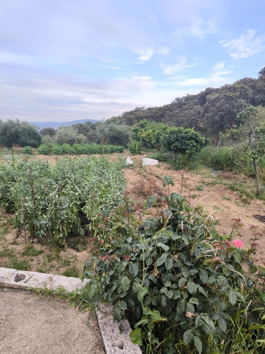 Finca/Landehus til salg i Fuente Obejuna med swimmingpool garage - € 76.000 (Ref: 9818312)