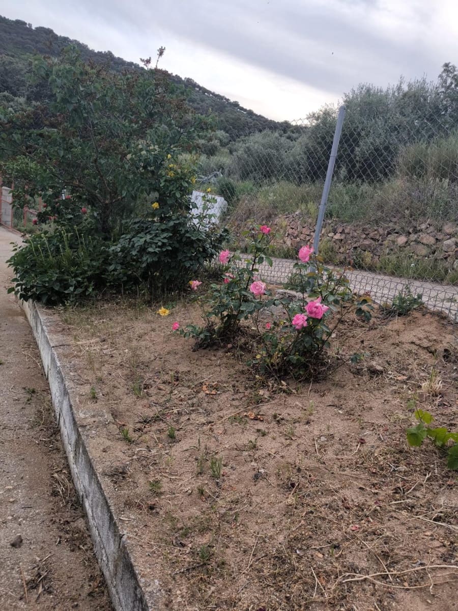 Finca/Landehus til salg i Fuente Obejuna med swimmingpool garage - € 76.000 (Ref: 9818312)