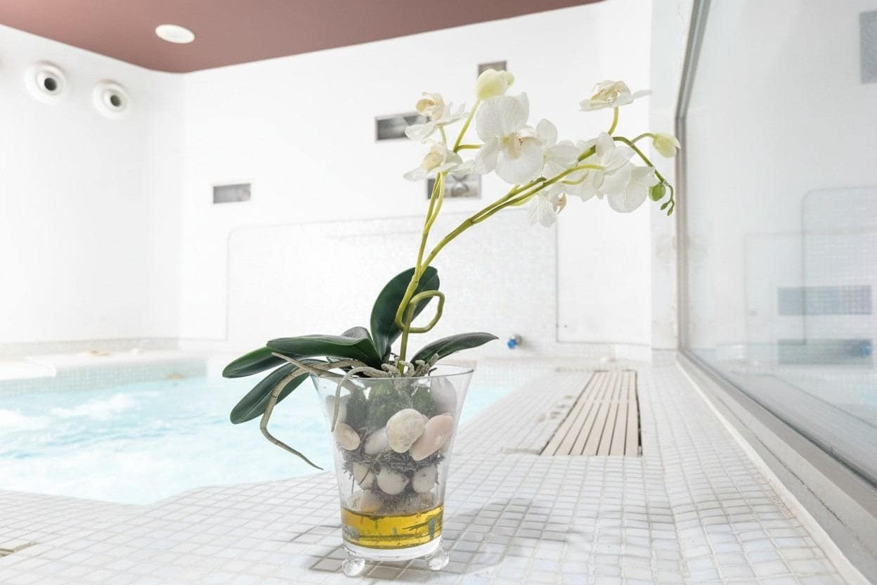 Erhverv til salg i Cordoba by med swimmingpool - € 219.000 (Ref: 9820606)