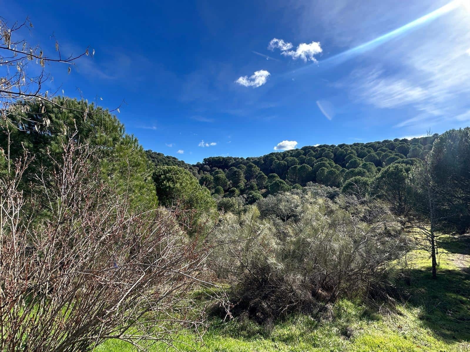 5 soveværelse Finca/Landehus til salg i Villaviciosa de Cordoba med garage - € 300.000 (Ref: 9827165)