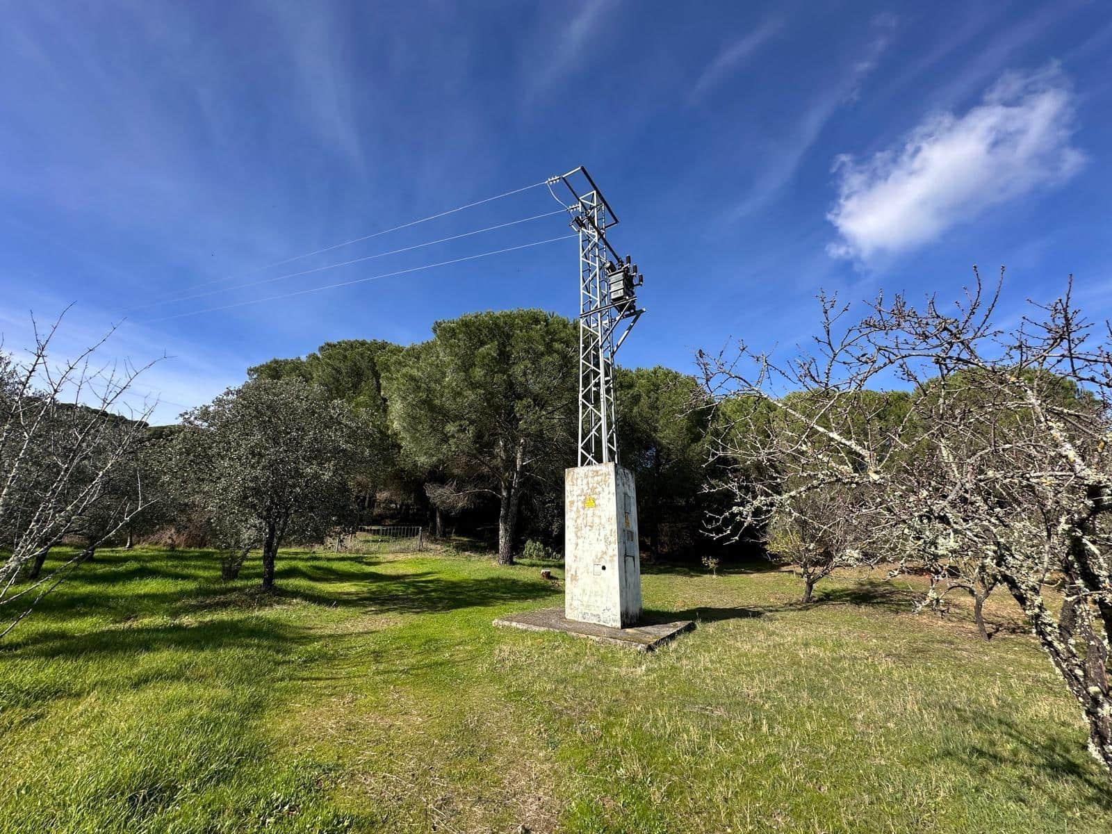 5 soveværelse Finca/Landehus til salg i Villaviciosa de Cordoba med garage - € 300.000 (Ref: 9827165)
