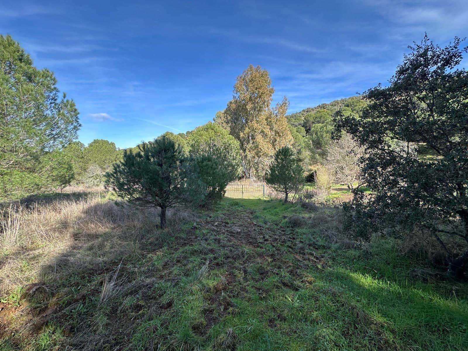 5 soveværelse Finca/Landehus til salg i Villaviciosa de Cordoba med garage - € 300.000 (Ref: 9827165)