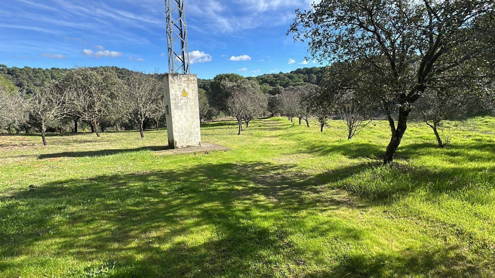 5 soveværelse Finca/Landehus til salg i Villaviciosa de Cordoba med garage - € 300.000 (Ref: 9827165)