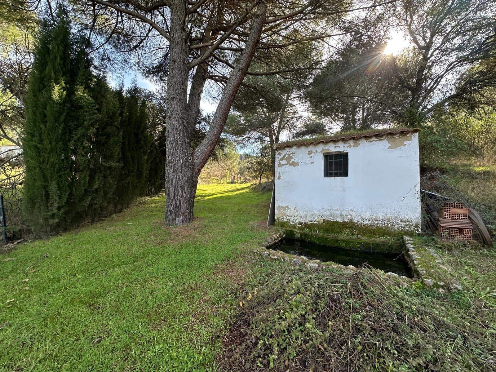 5 soveværelse Finca/Landehus til salg i Villaviciosa de Cordoba med garage - € 300.000 (Ref: 9827165)