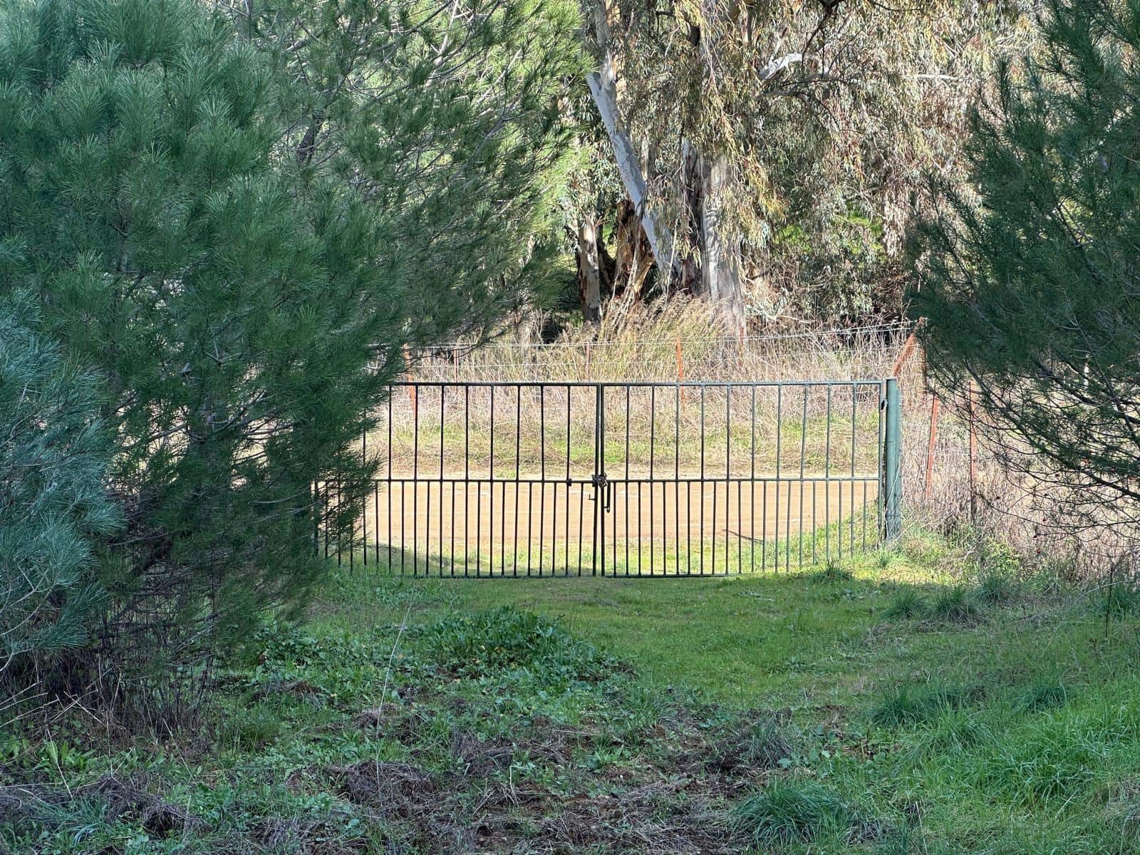 5 soveværelse Finca/Landehus til salg i Villaviciosa de Cordoba med garage - € 300.000 (Ref: 9827165)