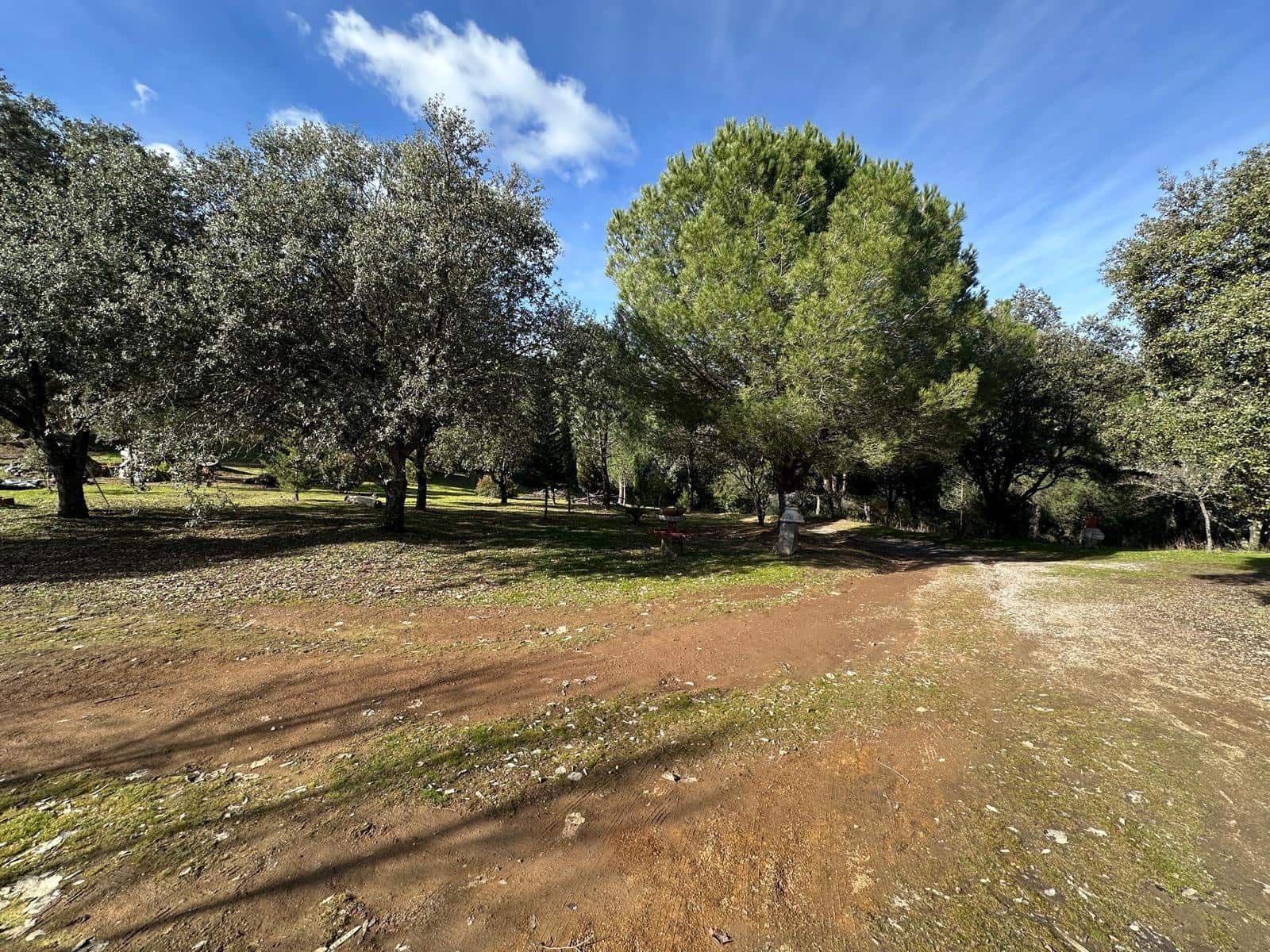 5 soveværelse Finca/Landehus til salg i Villaviciosa de Cordoba med garage - € 300.000 (Ref: 9827165)