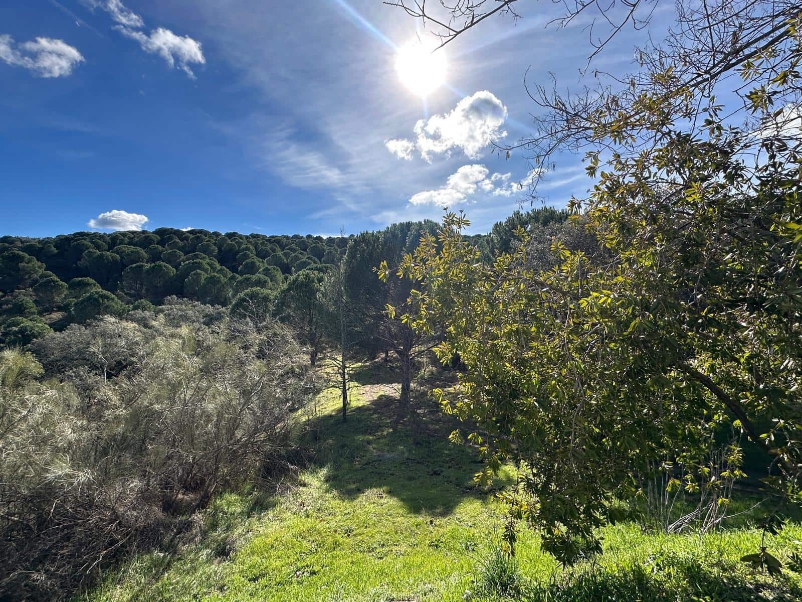 5 soveværelse Finca/Landehus til salg i Villaviciosa de Cordoba med garage - € 300.000 (Ref: 9827165)