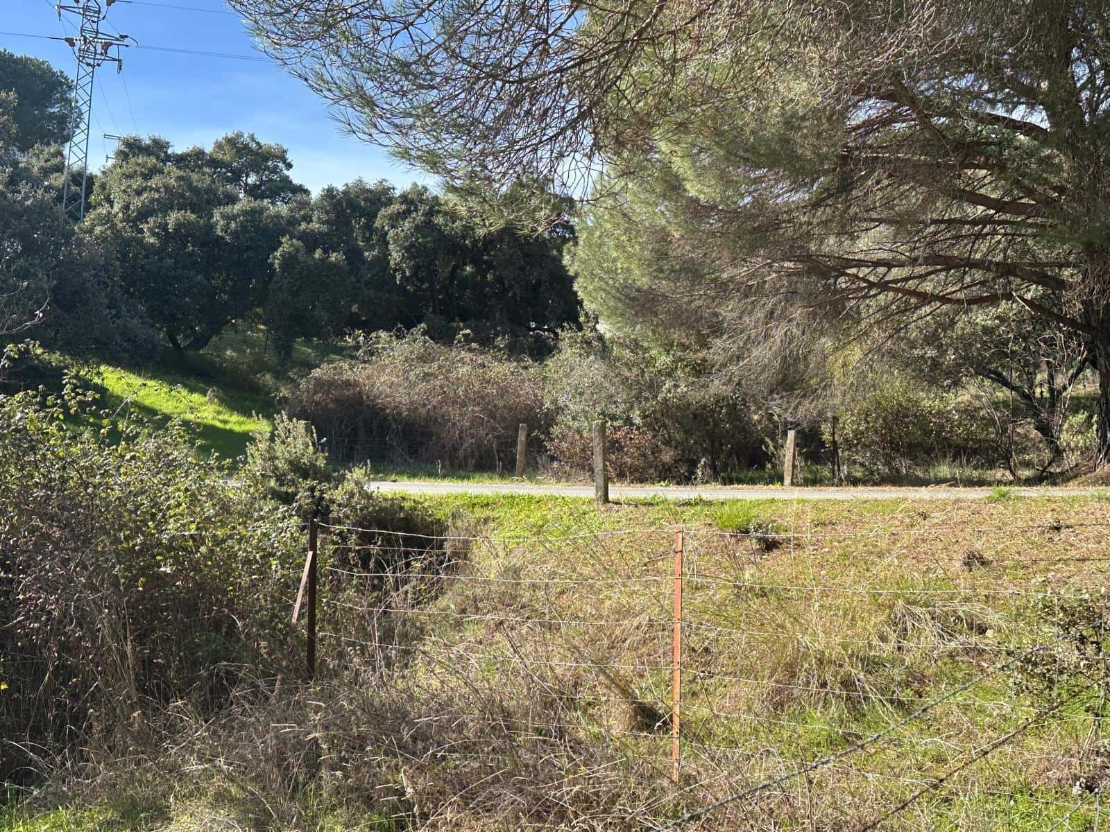 5 soveværelse Finca/Landehus til salg i Villaviciosa de Cordoba med garage - € 300.000 (Ref: 9827165)