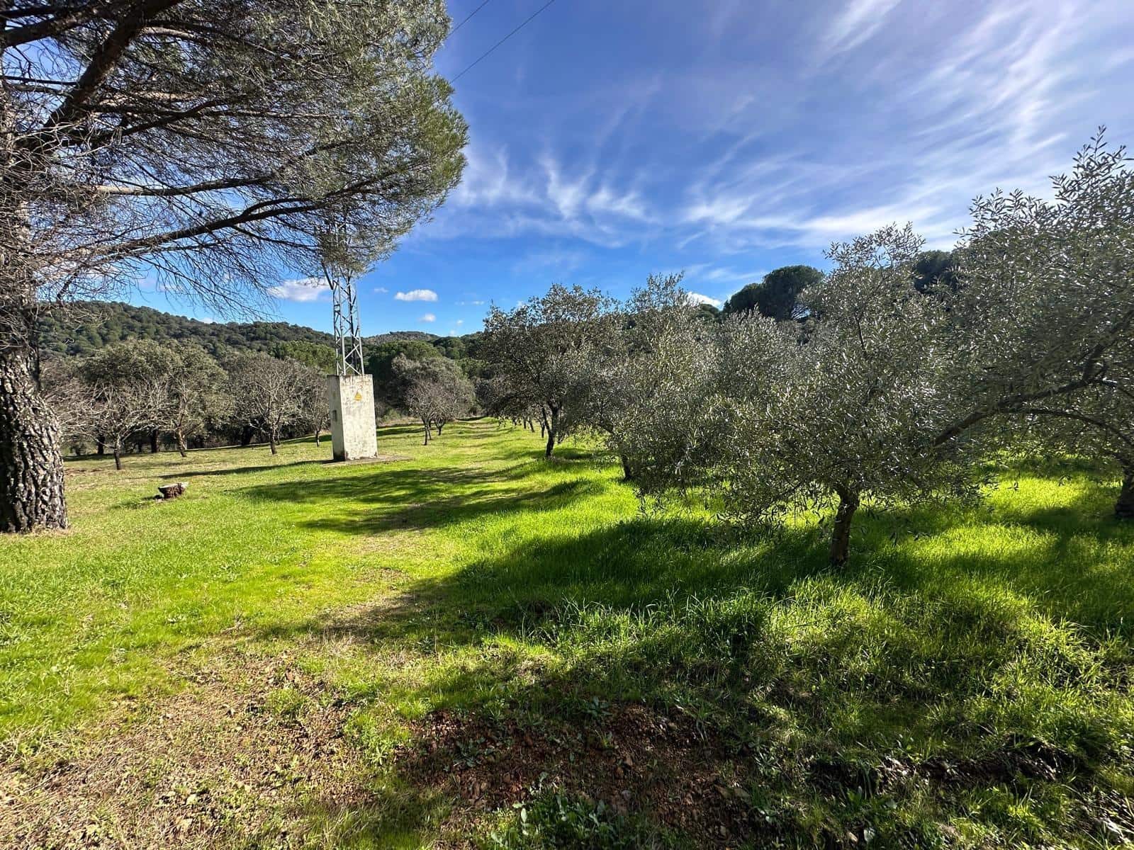 5 soveværelse Finca/Landehus til salg i Villaviciosa de Cordoba med garage - € 300.000 (Ref: 9827165)