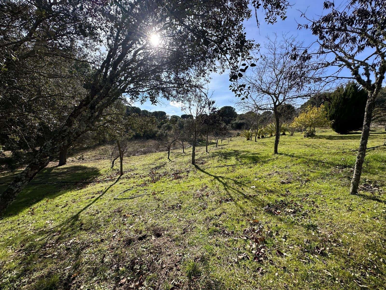5 soveværelse Finca/Landehus til salg i Villaviciosa de Cordoba med garage - € 300.000 (Ref: 9827165)