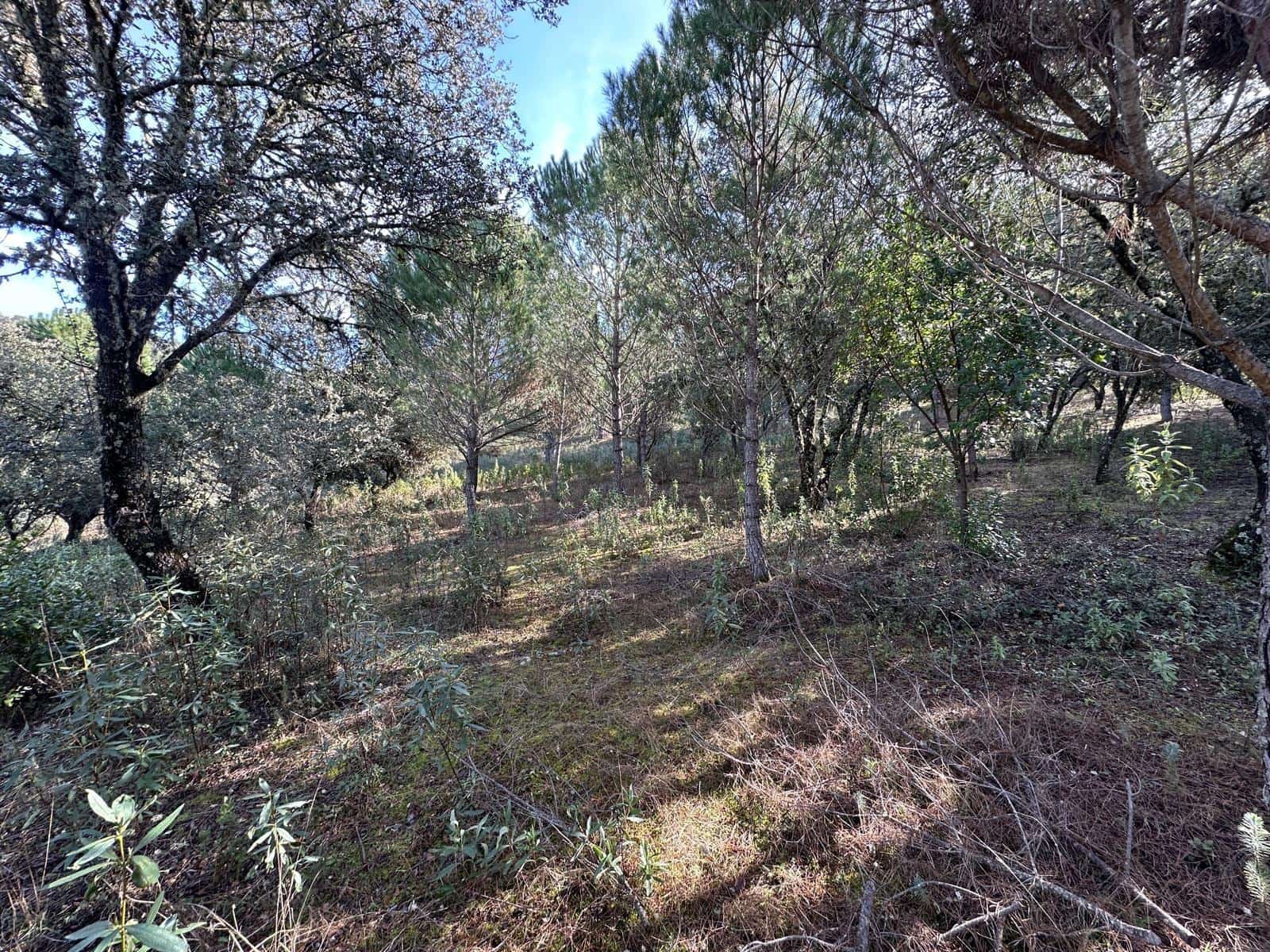 5 soveværelse Finca/Landehus til salg i Villaviciosa de Cordoba med garage - € 300.000 (Ref: 9827165)